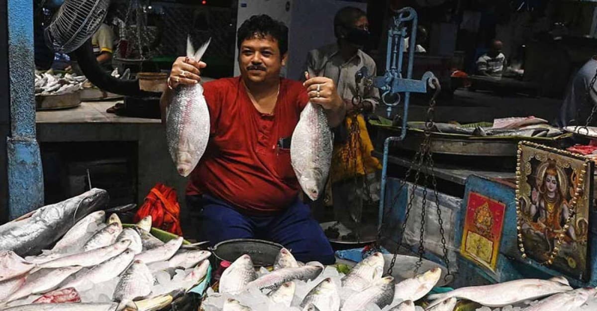 পশ্চিমবঙ্গের পাইকারি বাজারে পৌঁছালো ইলিশ