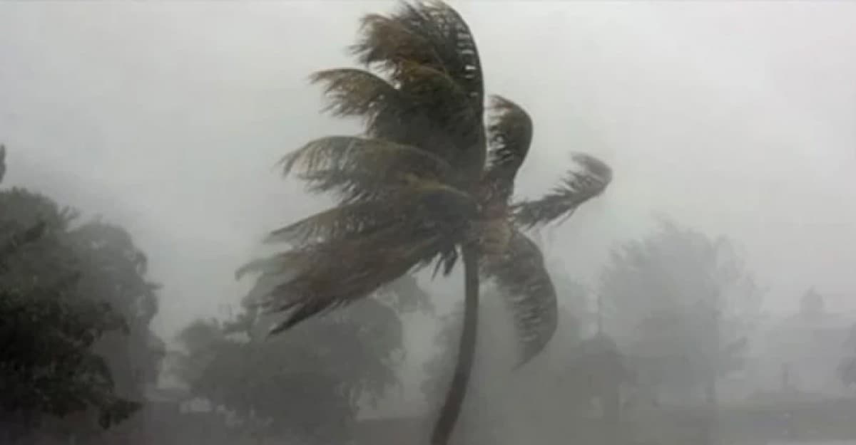 মাঝ রাতের মধ্যে ঝড় হতে পারে