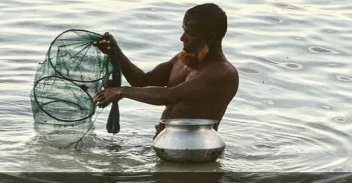 বাউফলে নিষিদ্ধ জাল ব্যবহারে ধ্বংসের মুখে দেশি প্রজাতির মাছ