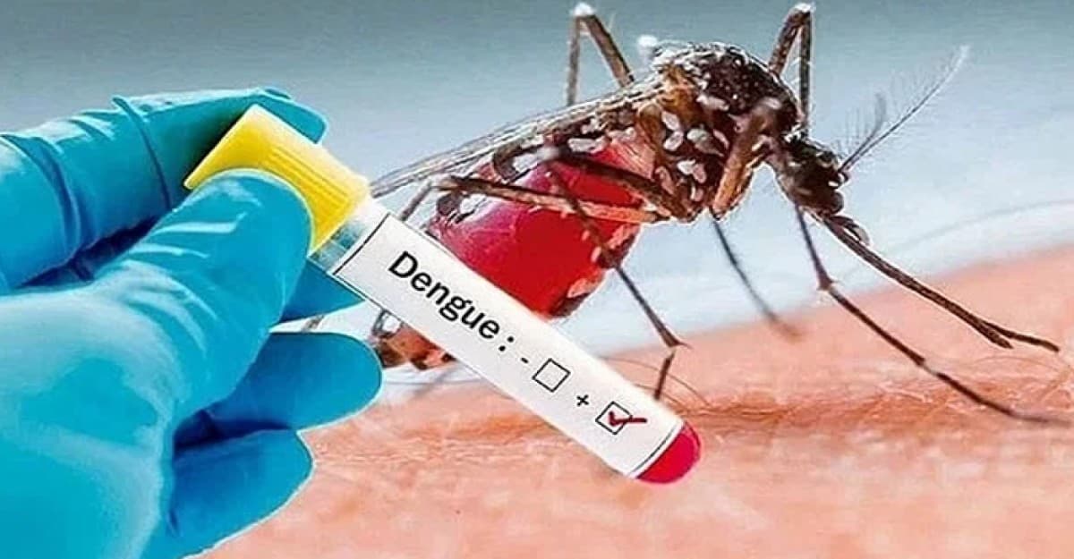 একদিনে সর্বোচ্চ ডেঙ্গু রোগী শনাক্ত, মৃত্যু আরও ৮