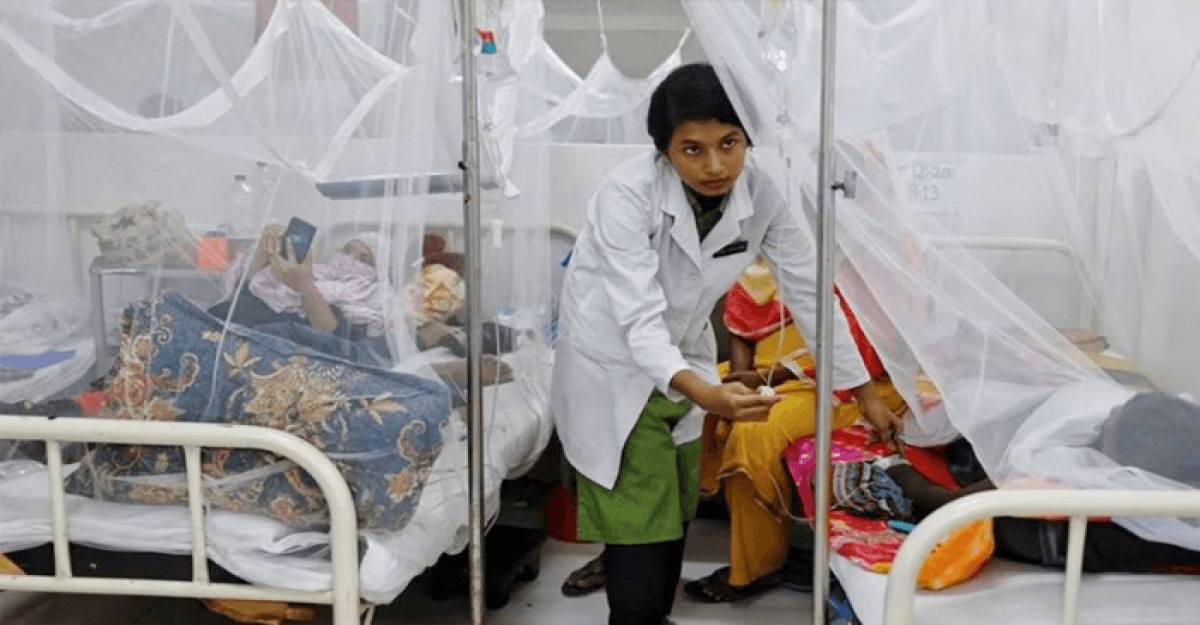 ডেঙ্গুতে একদিনে আরও ৩ মৃত্যু, নতুন শনাক্ত ১ হাজার ১৪৪