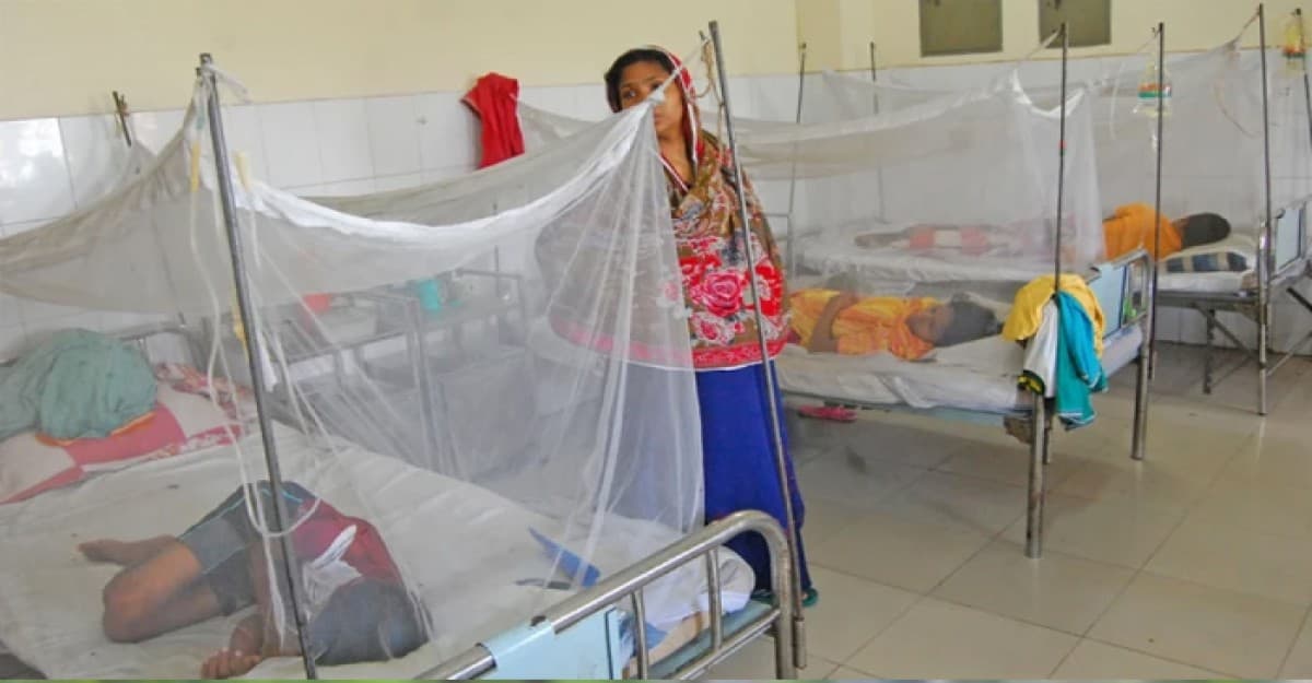ডেঙ্গুতে একদিনে আরও ৮ জনের মৃত্যু, শনাক্ত ১০১৭