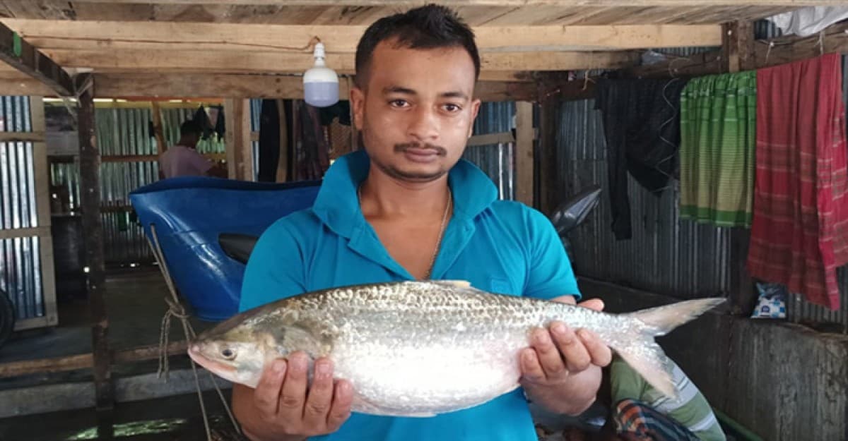 এক ইলিশ বিক্রি হলো ৬ হাজার ৮৪০ টাকায়