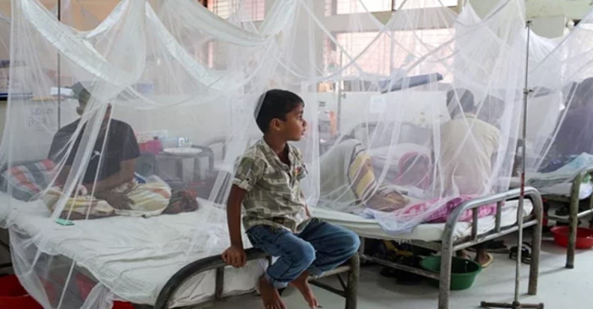 ডেঙ্গুতে আরও তিনজনের প্রাণহানি, হাসপাতালে ভর্তি ৫৮৩ জন