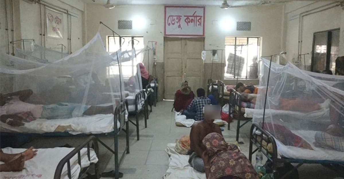 ডেঙ্গুতে আরও ৩ জনের প্রাণহানি, হাসপাতালে ১১৮৬