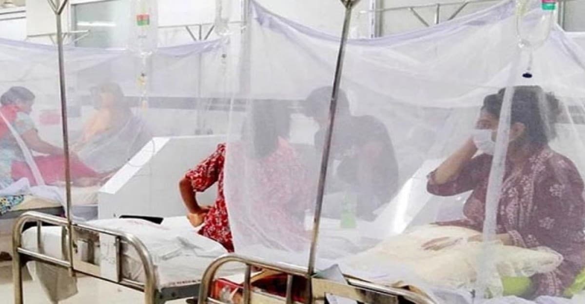 ডেঙ্গুতে আরও ৫ জনের প্রাণহানি, হাসপাতালে ১১০০