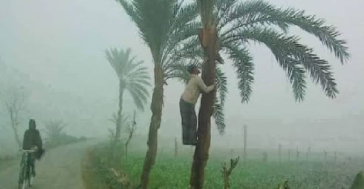 ফুলবাড়ীতে শীতের আগমনী বার্তা
