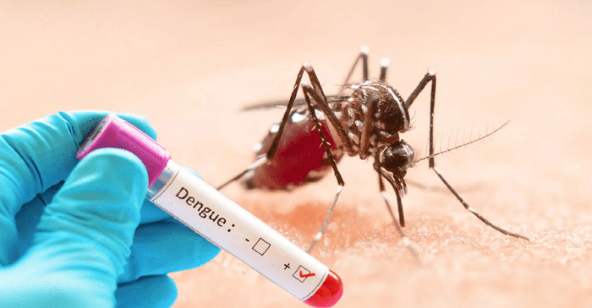 ডেঙ্গু আক্রান্ত হয়ে একদিনে ৪ জনের প্রাণহানি