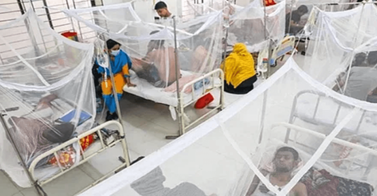 ডেঙ্গুতে আরও ৩ জনের প্রাণহানি, হাসপাতালে ১০৩৯