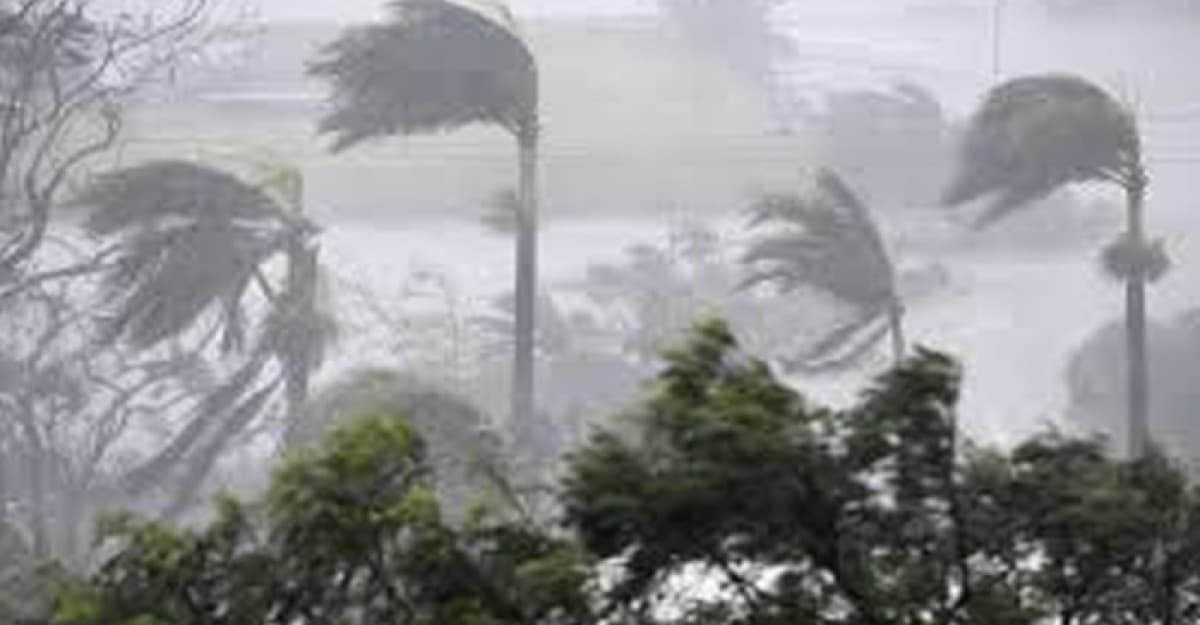 ঘুর্ণিঝড় ও বৃষ্টিপাতের কবল থেকে ফসল রক্ষায় পরামর্শ