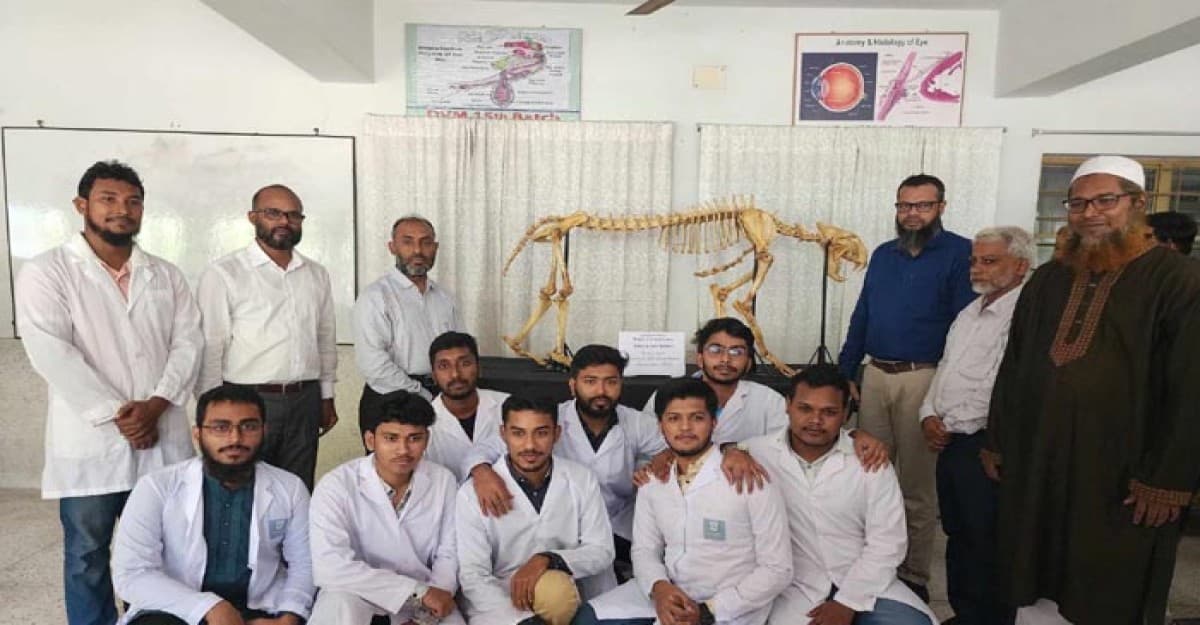 পবিপ্রবির এনাটমি মিউজিয়ামে দেশের ‘দ্বিতীয়’ রয়েল বেঙ্গল টাইগারের কঙ্কাল
