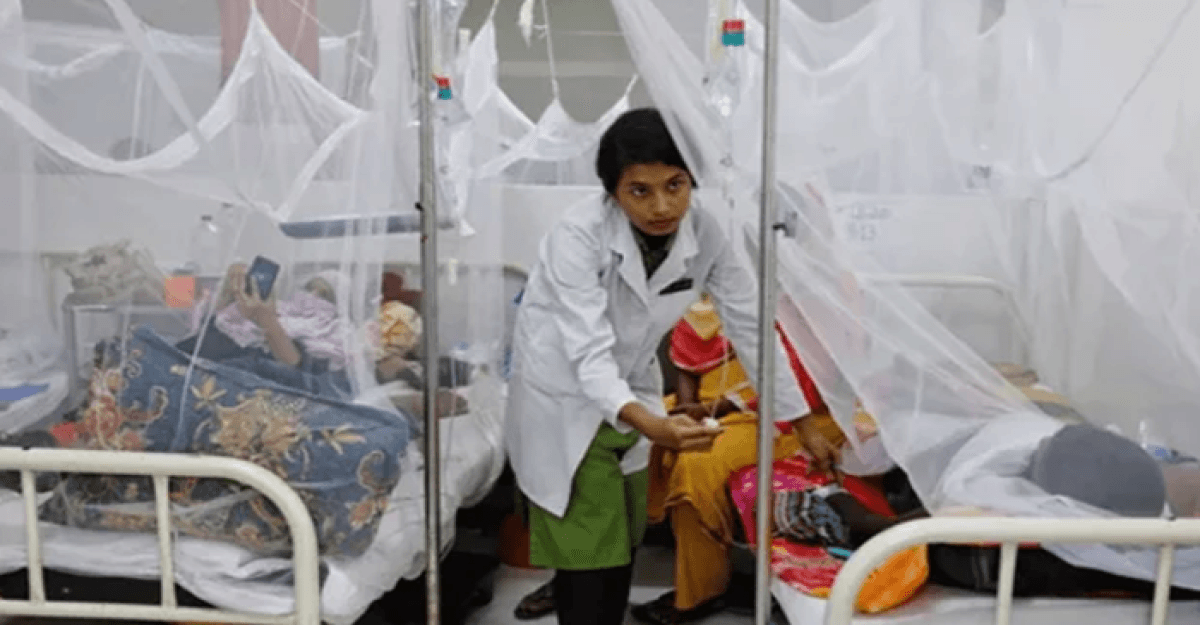 ডেঙ্গুতে আরও ২ জনের প্রাণহানি, হাসপাতালে ৯৬১
