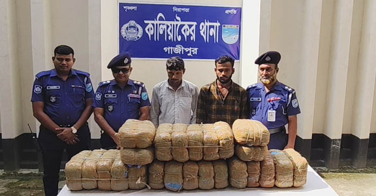 কালিয়াকৈরে ৪৮ কেজি গাঁজাসহ দুই মাদক ব্যবসায়ী আটক