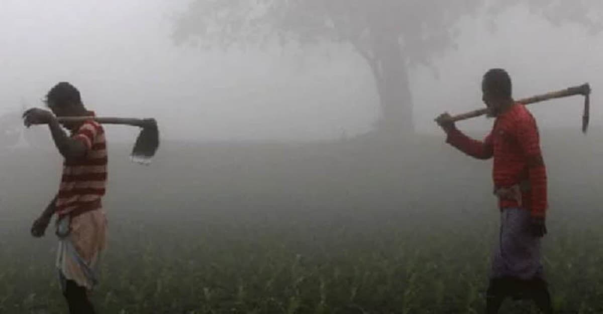 তীব্র শৈতপ্রবাহ আসছে, তাপমাত্রা নামতে পারে ৪ ডিগ্রিতে