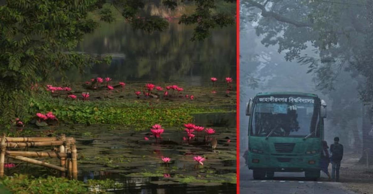 শীতের আগমনে জাবি ক্যাম্পাসে গ্রামীণ অনুভূতি