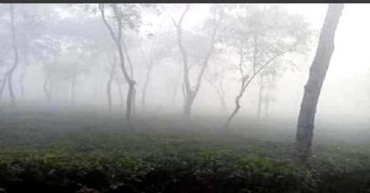 শ্রীমঙ্গলে দেশের সর্বনিম্ন তাপমাত্রা বিরাজ করছে