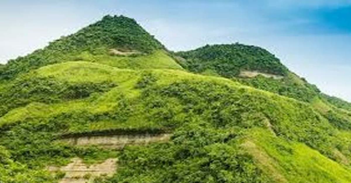 টেকনাফে পাহাড় থেকে বনকর্মি সহ ১৯ শ্রমিক অপহরণ