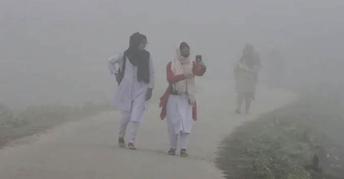 শৈত্যপ্রবাহ ও ঘন কুয়াশা নিয়ে নতুন বার্তা