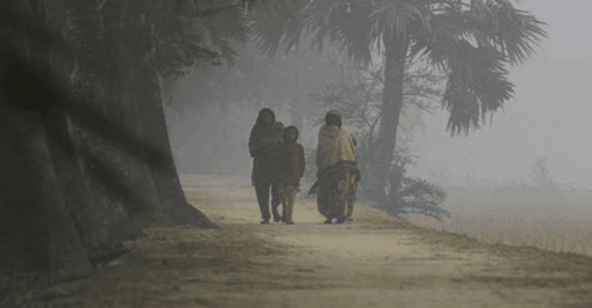 ১০ জেলায় শৈত্যপ্রবাহ চলবে, কুয়াশা বাড়ার সম্ভাবনা