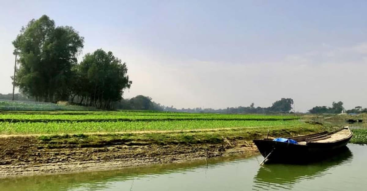 আত্রাই ছোট যমুনা নদীর দু’তীরে সবুজের সমারোহ