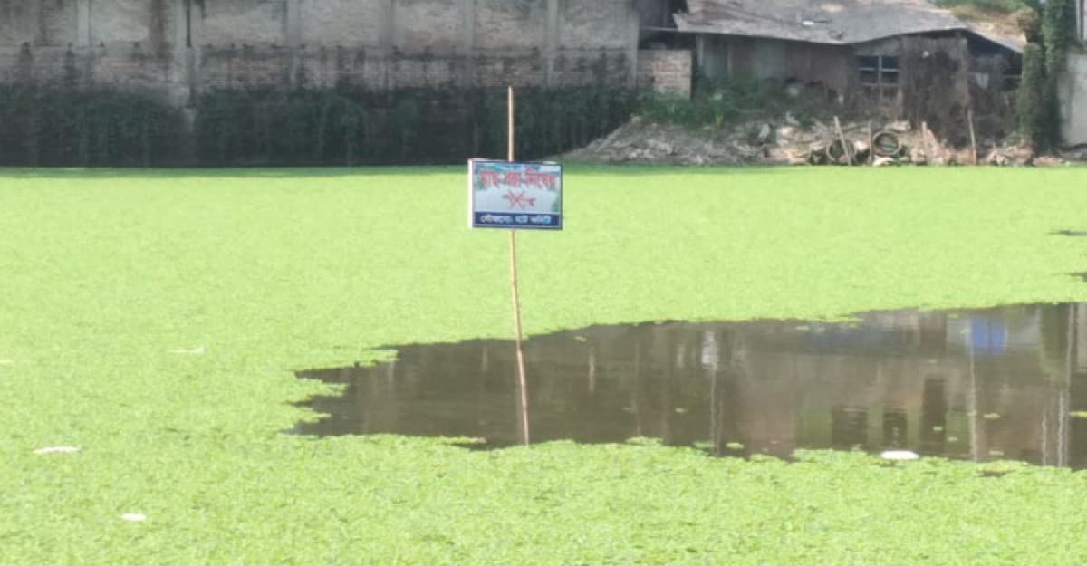 সিরাজগঞ্জে হাটের নামে ব্যক্তি মালিকানার পুকুর দখলের অভিযোগ