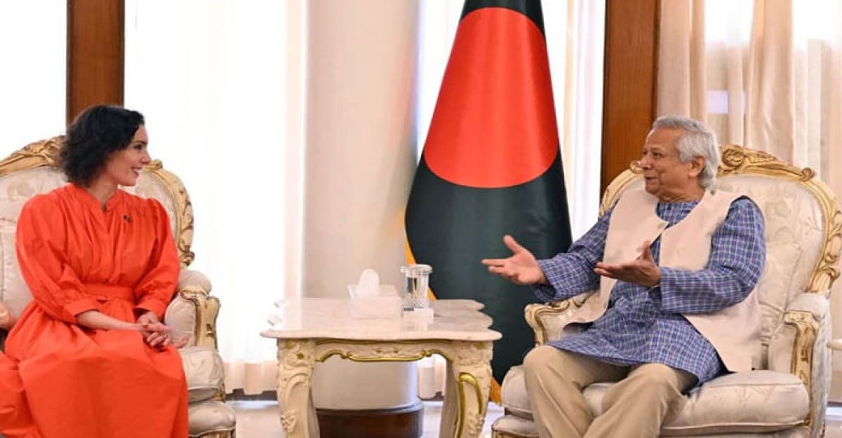 সম্ভবত ডিসেম্বরের মধ্যে নির্বাচন, ইইউ প্রতিনিধি দলকে ড. ইউনূস