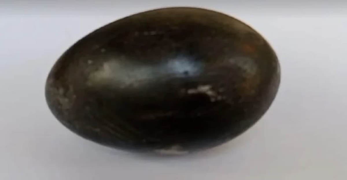হাঁসে পাড়া কালো ডিম নিয়ে এলাকায় চাঞ্চল্য