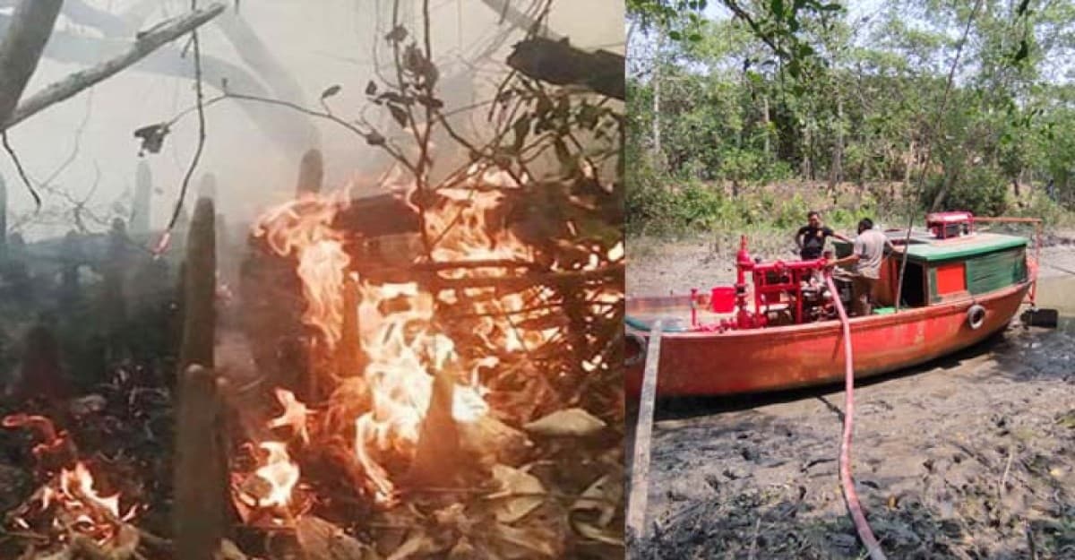 এখনো জ্বলছে সুন্দরবন, পানি ছিটাতে জোয়ারের অপেক্ষা
