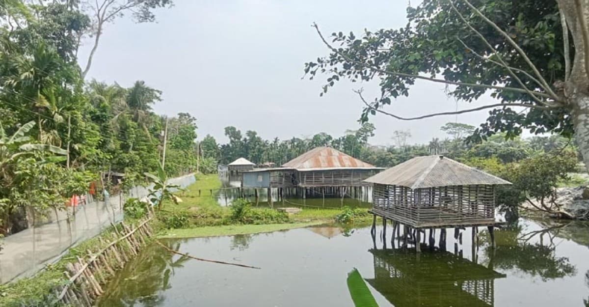 উজিরপুরে প্রটেক্ট ছাড়াই মৎস্য ঘের ও মুরগীর ফার্ম, স্বাস্থ্য ঝুঁকিতে সাধারণ মানুষ