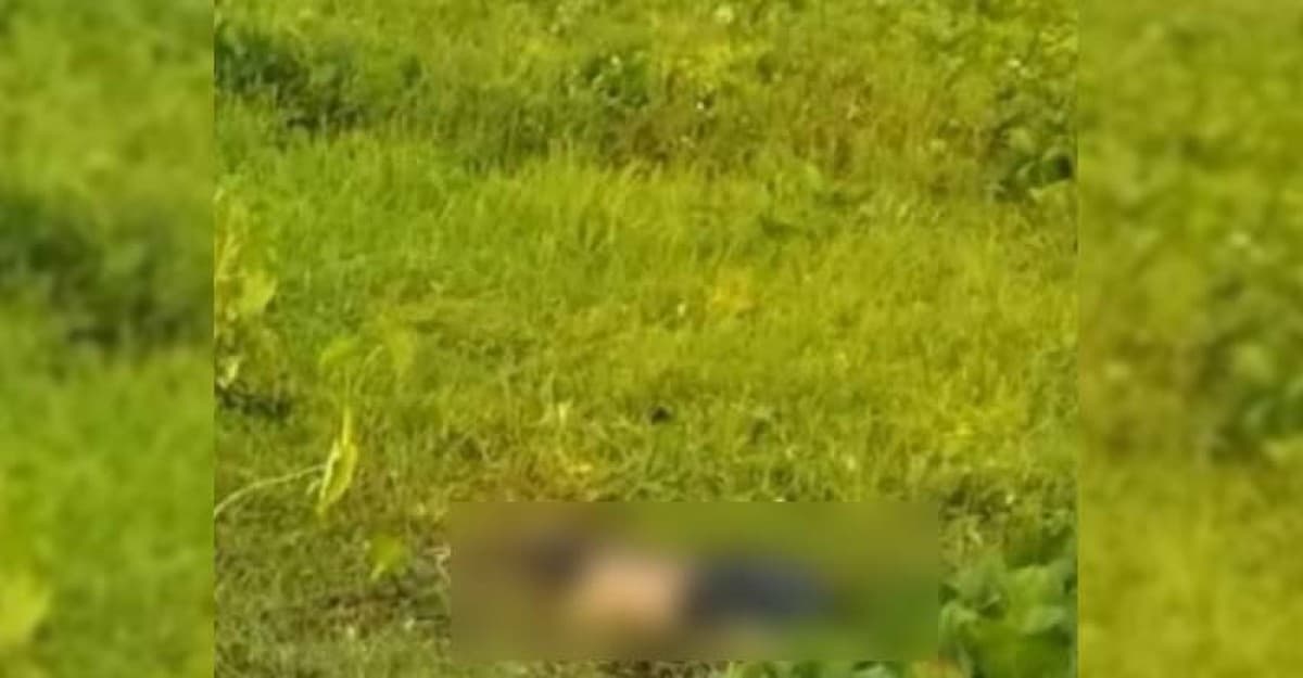 মহেশপুর সীমান্তের  ইছামতি নদীতে ভাসছে অজ্ঞাত যুবকের লাশ