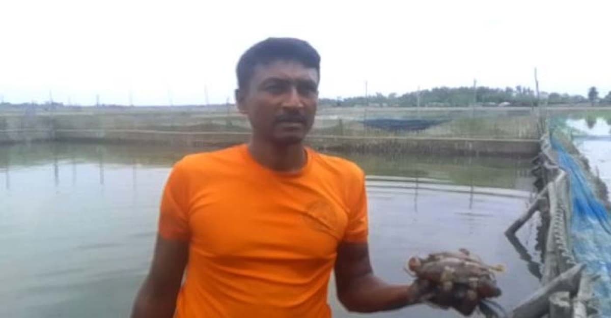 কয়রায় কাঁকড়া চাষ করে সফলতার মুখ দেখছে চাষিরা