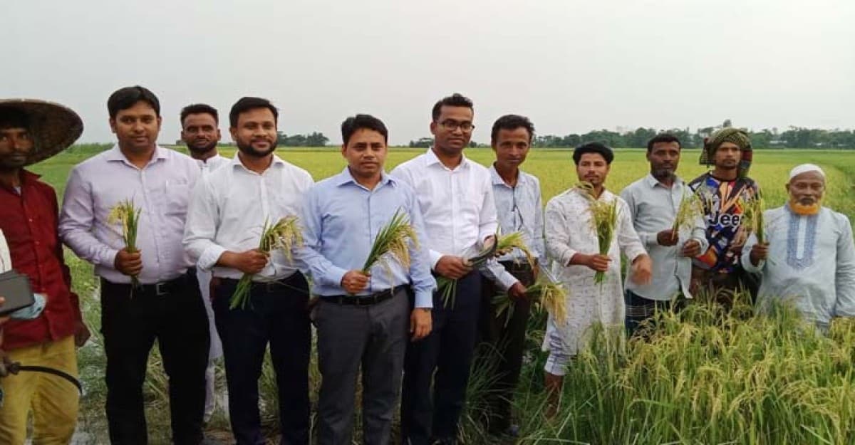 গোয়াইনঘাটে ধানকাটা উৎসবে ইউএনও রতন কুমার অধিকারী