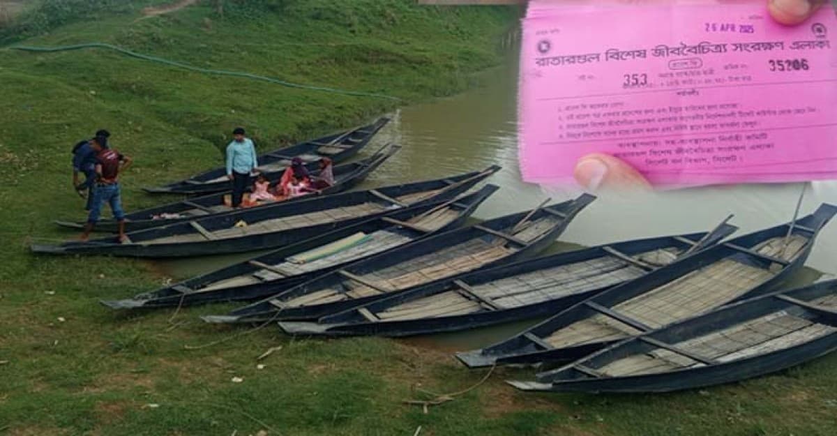 অনিয়মে জর্জরিত রাতারগুল সোয়াম্প ফরেস্ট