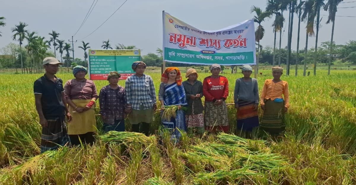 খাগড়াছড়িতে তেলজাতীয় ফসলের উৎপাদন বৃদ্ধি প্রকল্পের নমুনা শস্য কর্তন