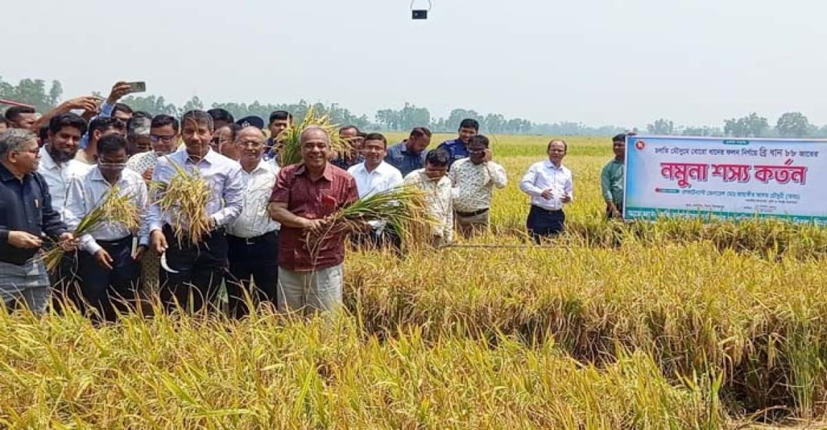সীমান্ত এলাকায় ধান কাটতে ভীতির কোন কারন নেই কৃষকদের: কৃষি ও স্বরাষ্ট্র উপদেষ্টা