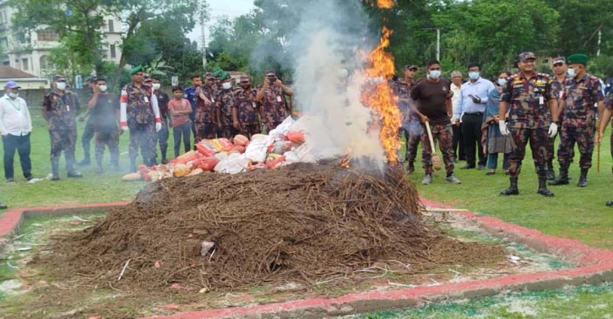 সীমান্ত থেকে জব্দ ৩ কোটি টাকার মাদক ধ্বংস করলো লালমনিরহাট বিজিবি