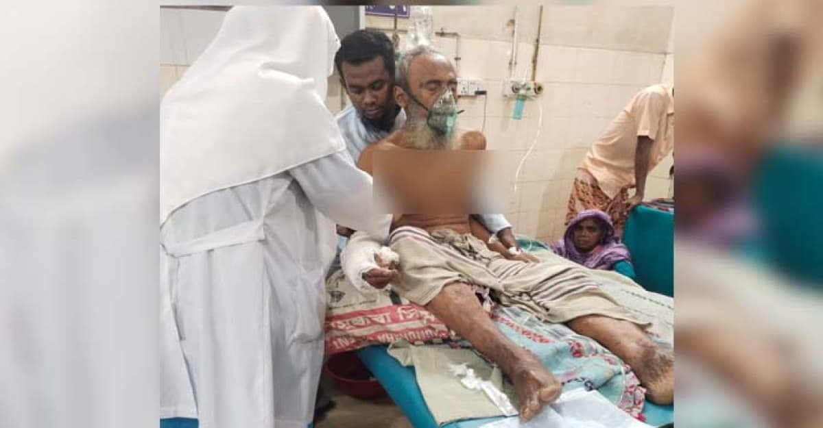 ভেড়ামারায় লিচু পাড়তে গিয়ে প্রাণ গেল ৮০ বছরের এক বৃদ্ধের