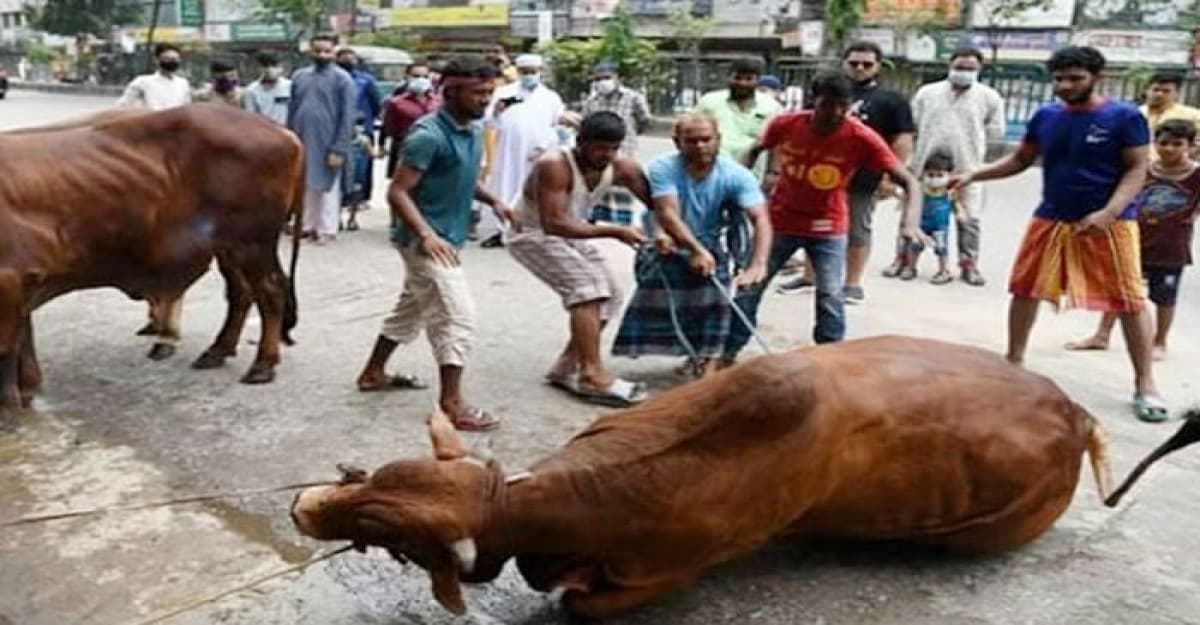 রাজধানীতে দ্বিতীয় দিনেও চলছে পশু কোরবানি