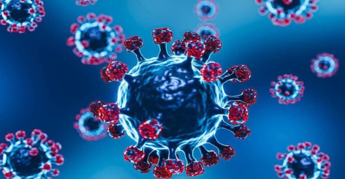 ভয়াবহ রূপে ফিরেছে করোনা ভাইরাস, ভ্রমণে বিশেষ সতর্কতা