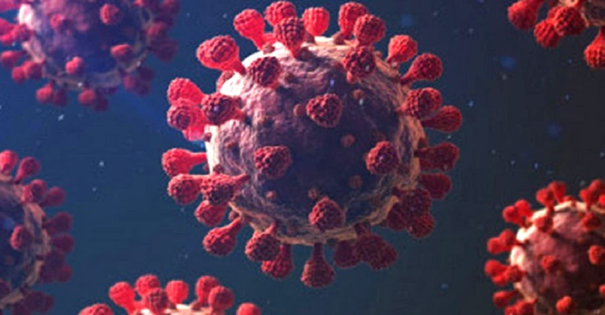 দেশে আরও নতুন করে ১৩ জনের শরীরে করোনা শনাক্ত