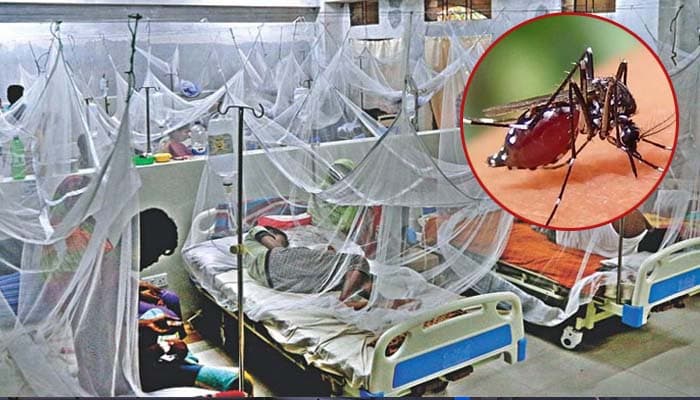 ২৪ ঘণ্টায় সারাদেশে ২৮৮ জনের ডেঙ্গু শনাক্ত