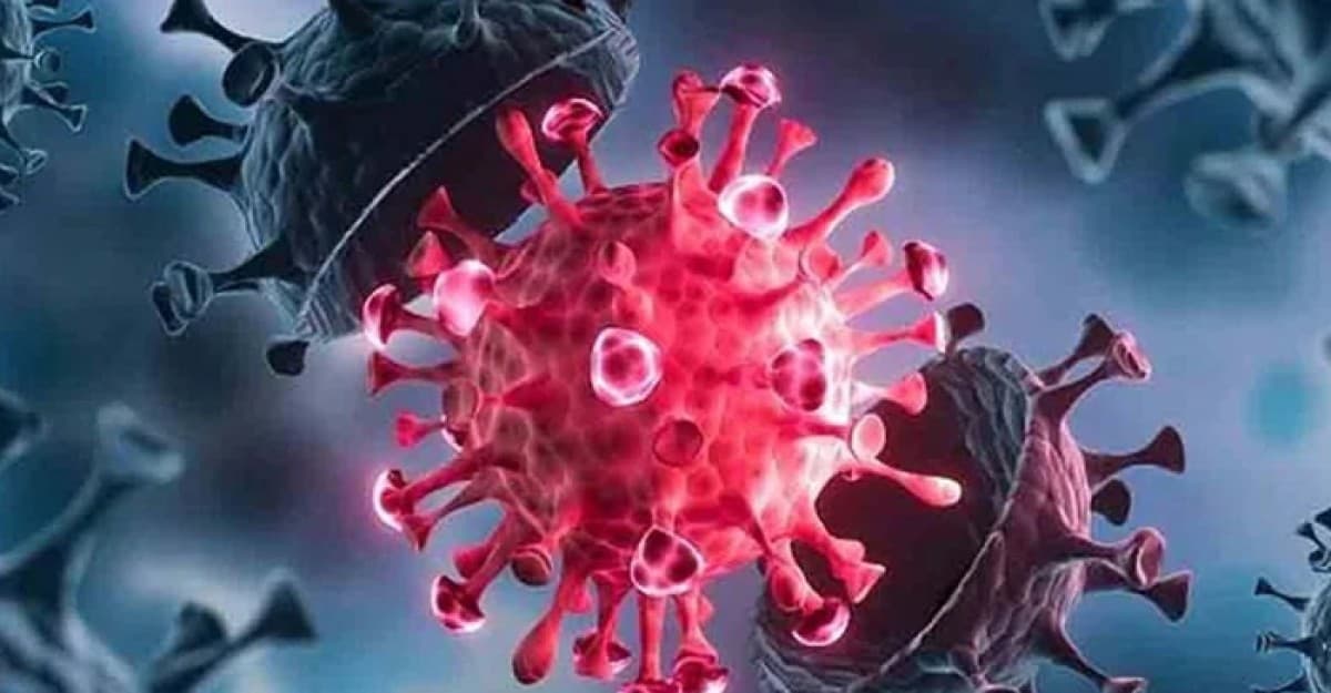 সারাদেশের বন্দরগুলোতে স্বাস্থ্যবিধি মানার নির্দেশ