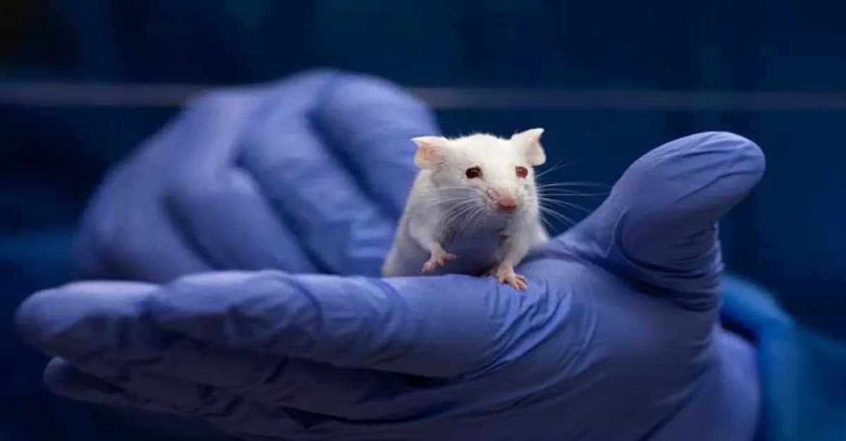 চিকিৎসাক্ষেত্রে চীনা বিজ্ঞানীদের যুগান্তকারী সফলতা