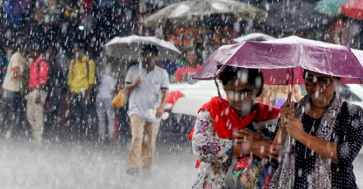 ঘরোয়া কিছু উপায়েই বর্ষাকালে রোগ-প্রতিরোধ ক্ষমতা বাড়িয়ে নিন