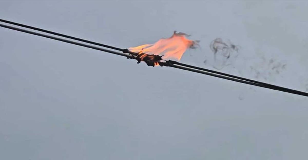 মানিক মিয়ায় গ্যাস বেলুন বিস্ফোরণ, দগ্ধ ৮