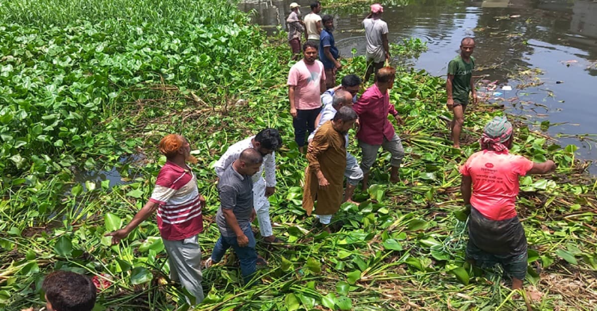 খাল বাঁচাতে মাঠে নেমেছে চাঁদপুর পৌর বিএনপি
