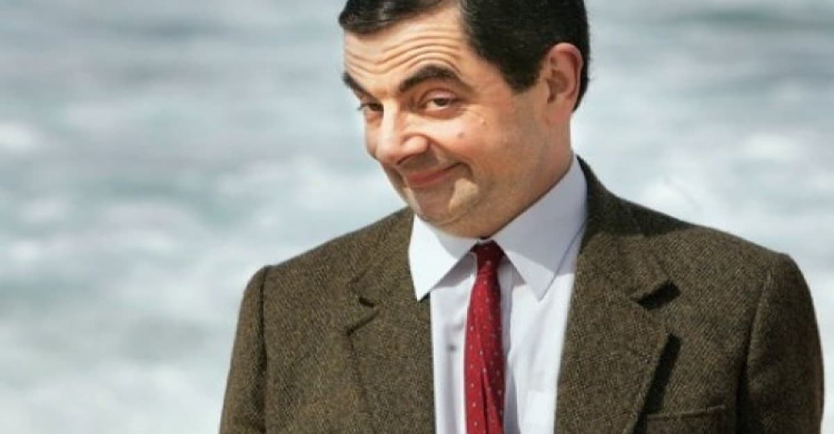 মাঝ আকাশে অজ্ঞান পাইলট, সাহসী সিদ্ধান্তে পরিবারকে বাঁচালেন মি. বিন