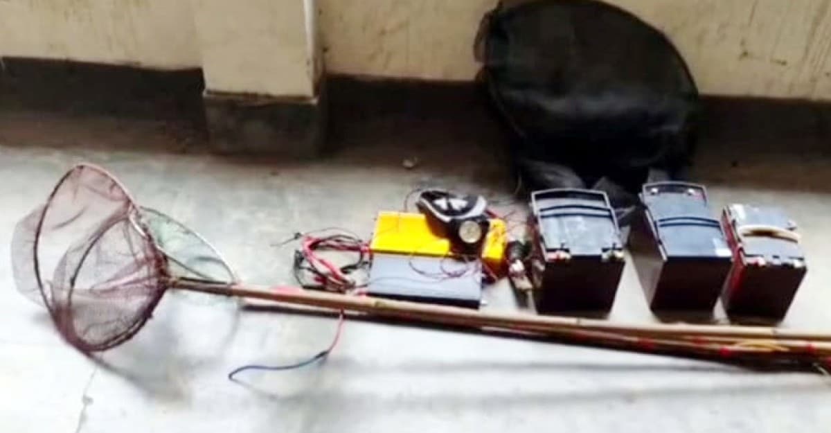 তিস্তা নদীতে ইলেকট্রিক শক দিয়ে মাছ নিধন, হুমকিতে জীববৈচিত্র্য