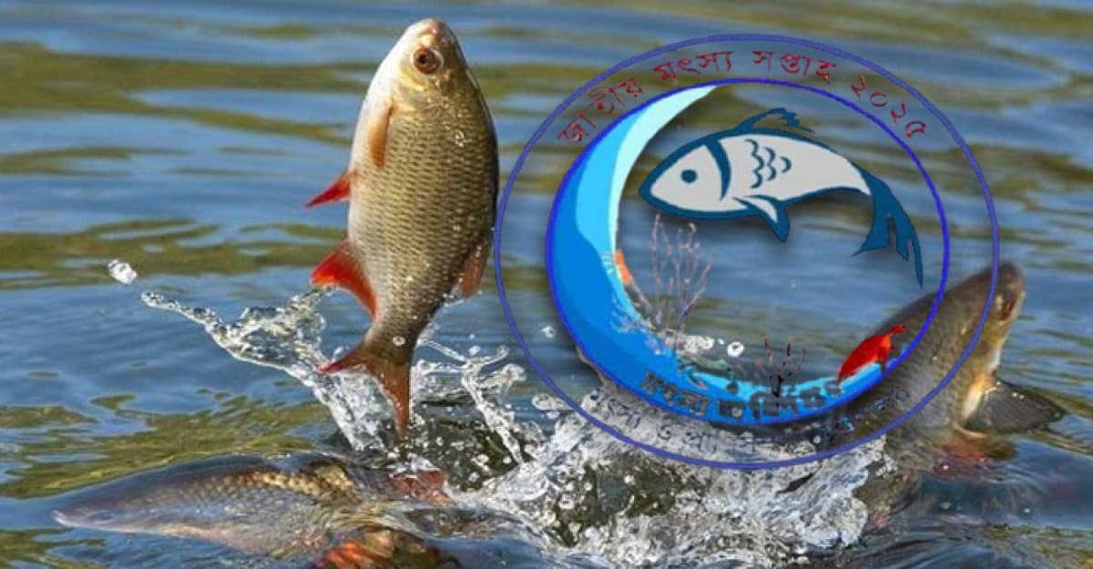 সারাদেশে জাতীয় মৎস্য সপ্তাহ উদযাপন