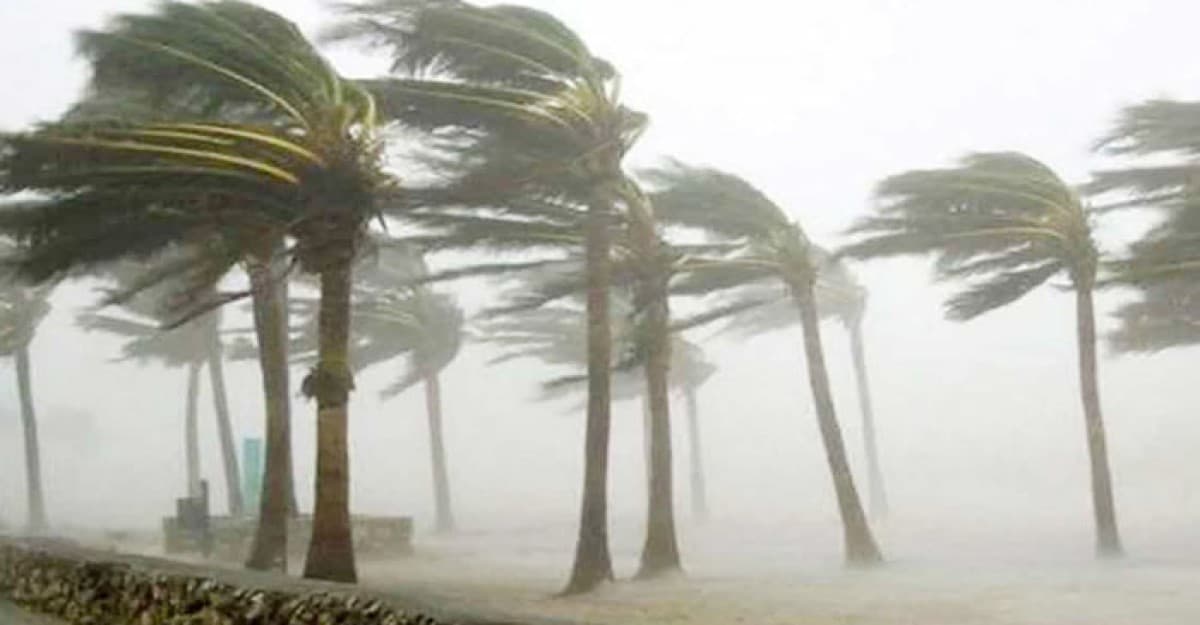 সন্ধ্যার মধ্যে ৭ জেলায় ঝড়ের শঙ্কা